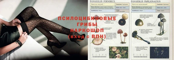 таблы Бородино