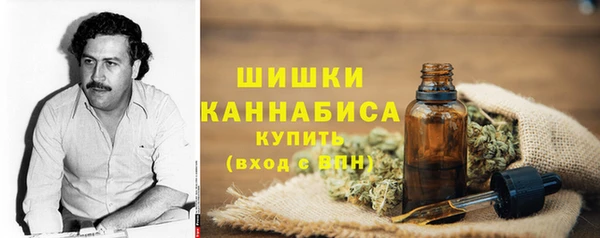 ECSTASY Билибино