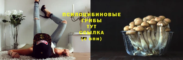 mdpv Бронницы