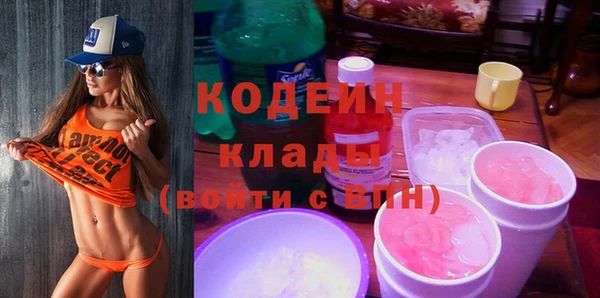 таблы Бородино